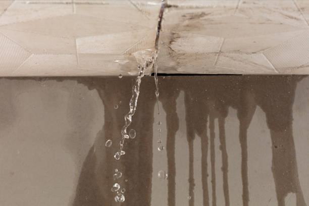 Professional Sewage Cleanup technician working in Hartland, MI